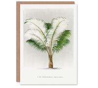 Artery8 Oswald de Kerchove Art Card Ceroxylon Anticola Palm Tree in White Artery8 White