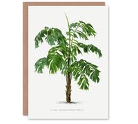 Artery8 Oswald de Kerchove Art Card Martinezia Lindeniana Palm Tree in White Artery8 White