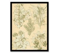 Artery8 Owen Jones Framed Wall Art Leaves From Nature No 7 Vintage Botanical in Beige | Size: A4 Artery8 Beige A4