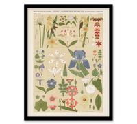 Artery8 Owen Jones Framed Wall Art Print Leaves & Flowers From Nature No 8 in Beige | Size: A3 Artery8 Beige A3