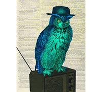 Artery8 Owl Hat TV Upcycle Style Dictionary Premium Wall Art Canvas Print 18X24 Inch