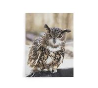 Artery8 Owl perched on a rock Carol M Highsmith Canvas Wall Art Print | Size: W24" x H32" Artery8 Multicolor W24" x H32"