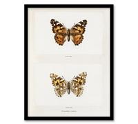 Artery8 Painted Lady Butterfly Vintage Artwork Denton Framed Wall Art Print 12X16"