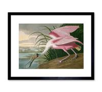 Artery8 Painting Bird Audubon Roseate Spoonbill 12x16" Framed Wall Art in Pink | Size: W12" x H16" Artery8 Pink W12" x H16"