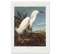Artery8 Painting Bird Audubon Snowy Heron Egret Artwork Framed Wall Art Print A4