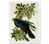 Painting Nature Animal Bird Audubon A4 Artwork Framed Wall Art Print Artery8 White One Size