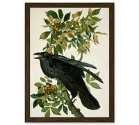 Painting Nature Animal Bird Audubon A4 Artwork Framed Wall Art Print Artery8 Brown One Size