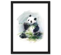 Wee Blue Coo Panda Eating Bamboo Watercolour Artwork Framed Wall Art Print A4