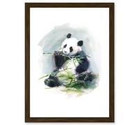 Artery8 Panda Eating Bamboo Watercolour Artwork Framed Wall Art Print A4 in Brown Artery8 Brown