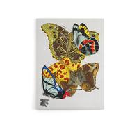 Artery8 Papillons Bright Vintage Butterflies Canvas Wall Art Print Seguy | Size: W12" x H16" Artery8 Multicolor W12" x H16"