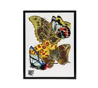 Artery8 Papillons Bright Vintage Butterflies Framed Canvas Wall Art Print Seguy | Size: W12" x H16" Artery8 Multicolor W12" x H16"