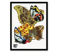 Artery8 Papillons Bright Vintage Butterflies Framed Wall Art Print Eugene Seguy | Size: W12" x H16" Artery8 Multicolor W12" x H16"