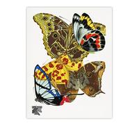 Artery8 Papillons Bright Vintage Butterflies Wall Art Print Eugene Seguy | Size: W18" x H24" Artery8 Multicolor W18" x H24"