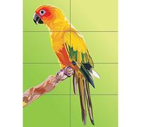 Artery8 Parrot Illustration Colourful XL Giant Panel Poster (8 Sections)