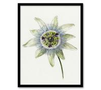 Artery8 Passion Flower Bloom Floral Drawing Art Print Framed 12X16 Artwork By Jean Bernard : Elegant Botanical Flower Sketch Ideal For Hallway Or Bedroom Adding Delicate Linework And Organic Charm
