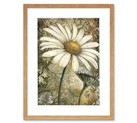 Artery8 Pastel Watercolour Daisy Flower Bloom Illustration Artwork Framed Wall Art Print 12X16 Inch