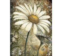 Artery8 Pastel Watercolour Daisy Flower Bloom Illustration Large XL Wall Art Canvas Print