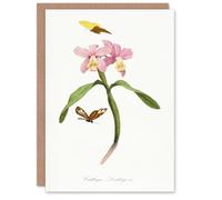 Artery8 Paul Gervais Cattleya Orchids And Butterflies Personalised Art Greeting Card