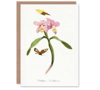 Artery8 Paul Gervais Cattleya Orchids And Butterflies Blank Art Greeting Card