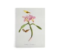 Artery8 Paul Gervais Cattleya Orchids & Butterflies Canvas Wall Art Print in White | Size: W18" x H24" Artery8 White W18" x H24"