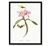 Artery8 Paul Gervais Cattleya Orchids & Butterflies Framed Wall Art Print in White | Size: W12" x H16" Artery8 White W12" x H16"