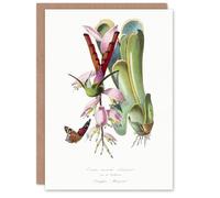 Artery8 Paul Gervais Hummingbird Butterfly and Flower Personalised Art Greeting Card