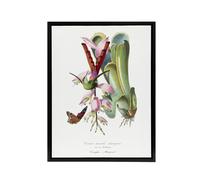 Artery8 Paul Gervais Hummingbird Butterfly & Flower Framed Canvas Art Print in White | Size: W18" x H24" Artery8 White W18" x H24"