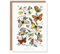 Artery8 Paul Gervais Moths Butterflies and Morning Glory Blank Art Greeting Card