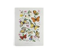 Artery8 Paul Gervais Moths Butterflies & Morning Glory Canvas Wall Art Print in White | Size: W24" x H32" Artery8 White W24" x H32"