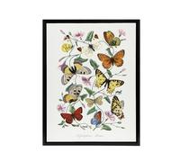 Artery8 Paul Gervais Moths Butterflies & Morning Glory Framed Canvas Art in White | Size: W24" x H32" Artery8 White W24" x H32"