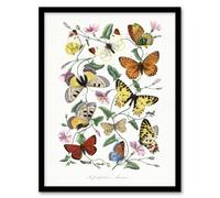 Artery8 Paul Gervais Moths Butterflies & Morning Glory Framed Wall Art Print in White | Size: W12" x H16" Artery8 White W12" x H16"