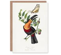 Artery8 Paul Gervais Toucan and Butterfly Vintage Illustration Blank Art Greeting Card