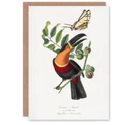 Artery8 Paul Gervais Toucan and Butterfly Vintage Illustration Blank Art Greeting Card