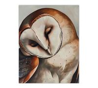 Artery8 Peaceful Owl Portrait Calm Magical Bird Animal Wall Art Print in Brown | Size: W12" x H16" Artery8 Brown W12" x H16"