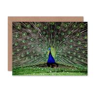 Artery8 Peacock Bird Tail Feathers Peafowl Photograph Animal Card Artery8 Multicolor