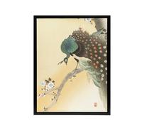 Artery8 Peacock On A Cherry Blossom Tree Framed Canvas Wall Art Print Koson in Orange | Size: W24" x H32" Artery8 Orange W24" x H32"