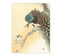 Artery8 Peacock On A Cherry Blossom Tree Retro Japan Wall Art Print Koson in Orange | Size: W12" x H16" Artery8 Orange W12" x H16"