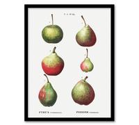 Artery8 Pear Fruit Varieties Redoute Vintage Framed Wall Art Print in White | Size: A4 Artery8 White A4