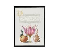 Artery8 Pear Pink Tulip & Seashell Calligraphy Framed Canvas Wall Art Print in White | Size: W12" x H16" Artery8 White W12" x H16"
