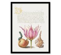 Artery8 Pear Pink Tulip & Seashell Calligraphy Framed Wall Art Print in White | Size: A4 Artery8 White A4