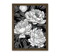 Artery8 Peony Flower Blooms White on Black Illustration Artwork Framed Wall Art Print 18X24 Inch