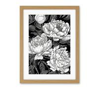 Artery8 Peony Flower Blooms White on Black Illustration Artwork Framed Wall Art Print 18X24 Inch
