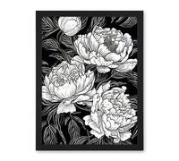 Artery8 Peony Flower Blooms White on Black Illustration Artwork Framed Wall Art Print 18X24 Inch