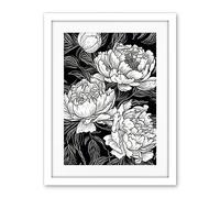 Artery8 Peony Flower Blooms White on Black Illustration Artwork Framed Wall Art Print 18X24 Inch