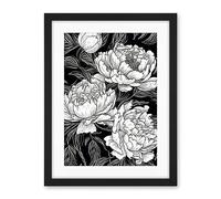 Artery8 Peony Flower Blooms White on Black Illustration Artwork Framed Wall Art Print 18X24 Inch