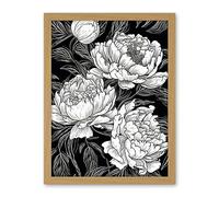 Artery8 Peony Flower Blooms White on Black Illustration Artwork Framed Wall Art Print 18X24 Inch