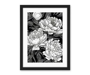 Artery8 Peony Flower Blooms White on Black Illustration Artwork Framed Wall Art Print 18X24 Inch