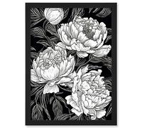 Artery8 Peony Flower Blooms White on Black Illustration Artwork Framed Wall Art Print A4