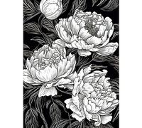 Artery8 Peony Flower Blooms White on Black Illustration Large Wall Art Poster Print Thick Paper 18X24 Inch