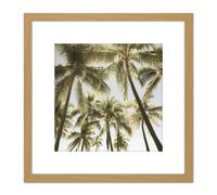 Artery8 Perrington Tropical Palm Trees Photo 8X8 Inch Square Wooden Framed Wall Art Print Picture with Mount in Light Oak Artery8 Light Oak